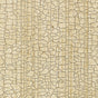 Masaccio Ground Champagne by Schumacher - crackled faux finish non-woven wallpaper in gold and neutral tones
