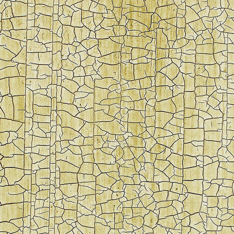Masaccio Ground Celadon by Schumacher - crackled effect non-woven wallpaper in green tones