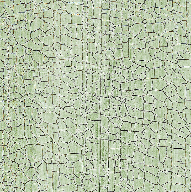 Masaccio Ground Aqua wallcovering with a hand-screened, crackled texture design by Schumacher.