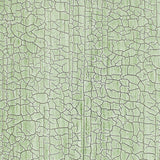 Masaccio Ground Aqua wallcovering with a hand-screened, crackled texture design by Schumacher.