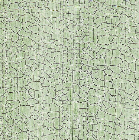 Masaccio Ground Aqua wallcovering with a hand-screened, crackled texture design by Schumacher.