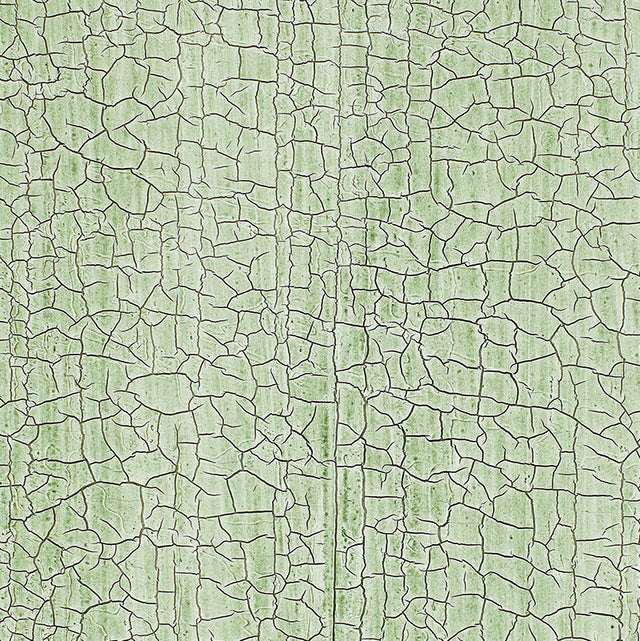 Masaccio Ground Aqua wallcovering with a hand-screened, crackled texture design by Schumacher.