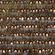 Montauk Topaz by Schumacher - Small-scale feather stripe luxury wallcovering panel