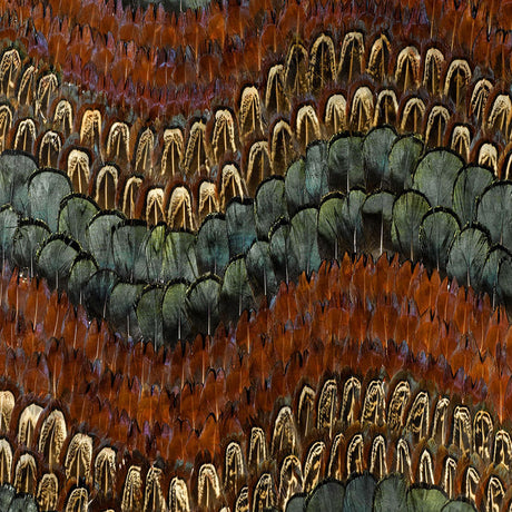 Biscayne wallcovering in Peacock & Pheasant colorway featuring a luxurious serpentine stripe pattern made from natural feathers.