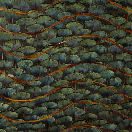 Emerald Bay wallcovering in Peacock colorway, featuring hand-applied natural feathers in a dense, overlapping pattern with iridescent sheen.