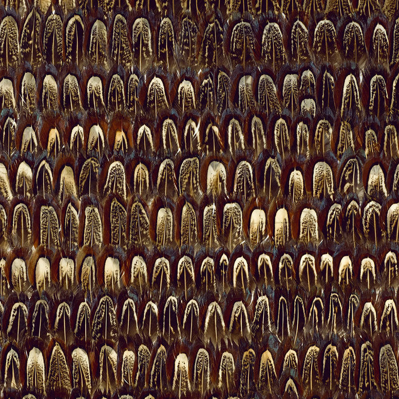 Close-up of Schumacher Caumsett Sable wallcovering featuring hand-applied natural feathers in a luxe, textural stripe pattern.