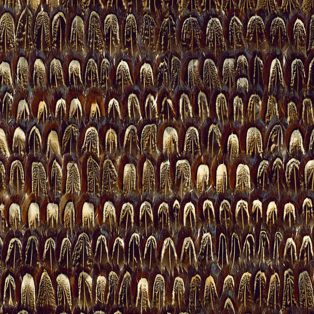 Close-up of Schumacher Caumsett Sable wallcovering featuring hand-applied natural feathers in a luxe, textural stripe pattern.