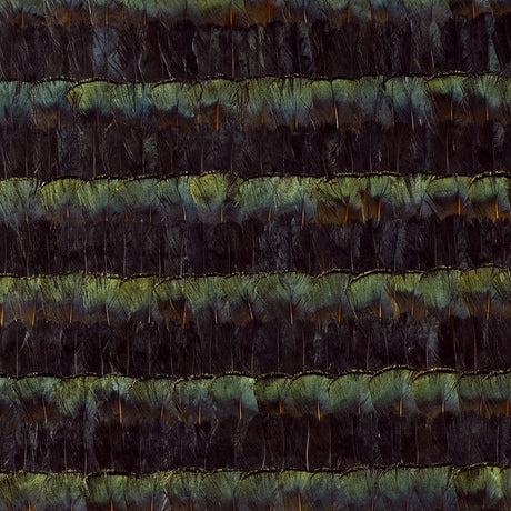 Bradbury Malachite wallcovering panel with hand-applied natural feathers in overlapping stripes, iridescent shimmer, and rich green-black hues.