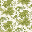 Coconut Grove wallpaper in Leaf by Schumacher featuring green tropical foliage and birds on a cream background.
