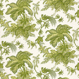 Coconut Grove wallpaper in Leaf by Schumacher featuring green tropical foliage and birds on a cream background.