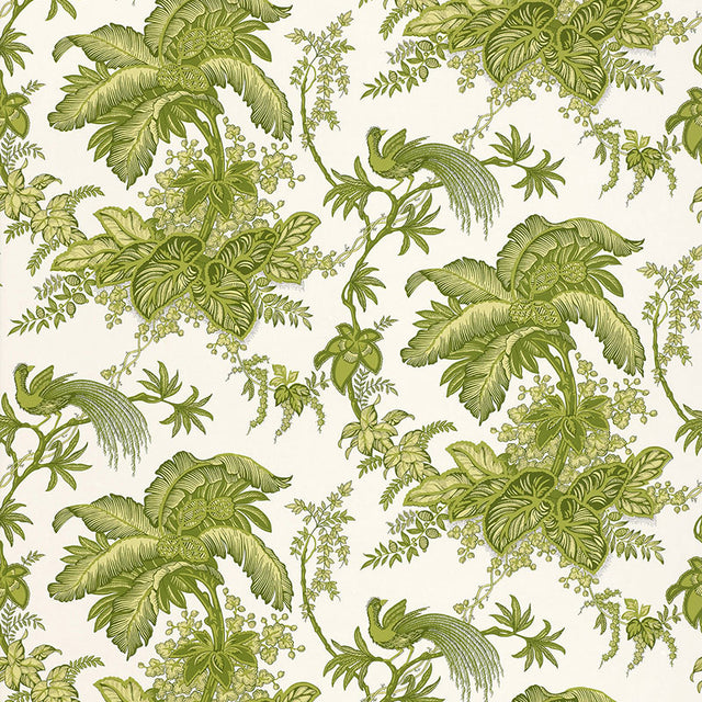 Coconut Grove wallpaper in Leaf by Schumacher featuring green tropical foliage and birds on a cream background.