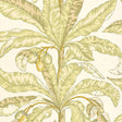 Blair House Palm wallpaper in Kiwi by Schumacher, featuring a tropical palm leaf and fruit design in green and yellow tones.