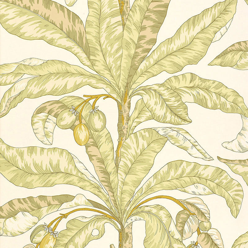 Blair House Palm wallpaper in Kiwi by Schumacher, featuring a tropical palm leaf and fruit design in green and yellow tones.