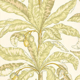 Blair House Palm wallpaper in Kiwi by Schumacher, featuring a tropical palm leaf and fruit design in green and yellow tones.