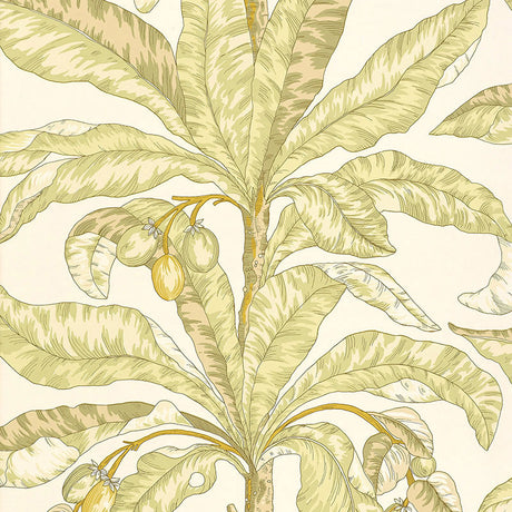 Blair House Palm wallpaper in Kiwi by Schumacher, featuring a tropical palm leaf and fruit design in green and yellow tones.