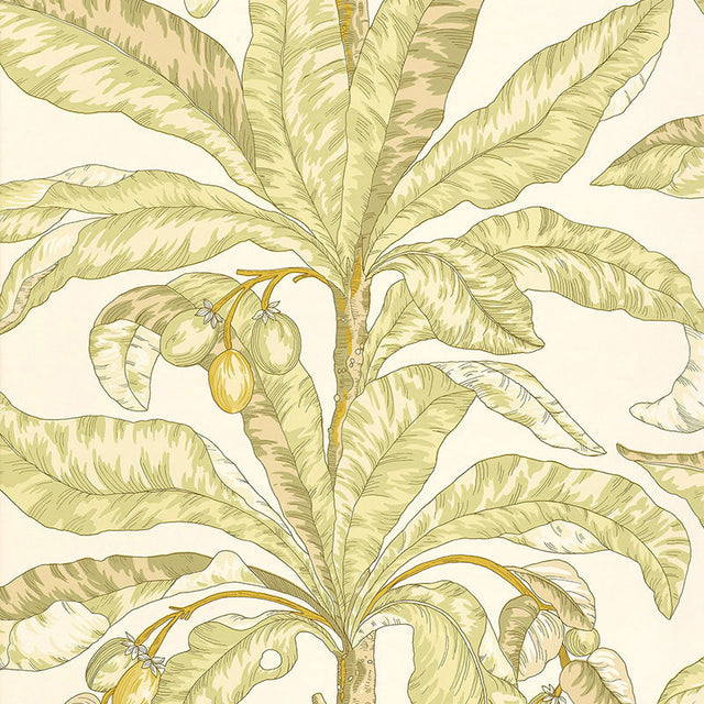 Blair House Palm wallpaper in Kiwi by Schumacher, featuring a tropical palm leaf and fruit design in green and yellow tones.