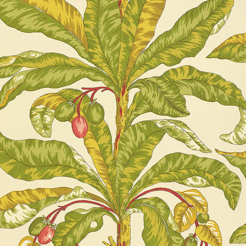 Blair House Palm wallpaper featuring a tropical palm tree design in green, yellow, and red on a cream background.