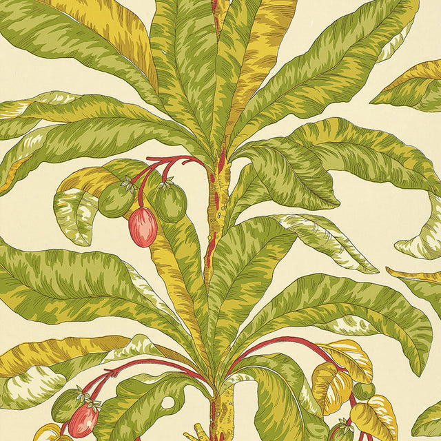 Blair House Palm wallpaper featuring a tropical palm tree design in green, yellow, and red on a cream background.
