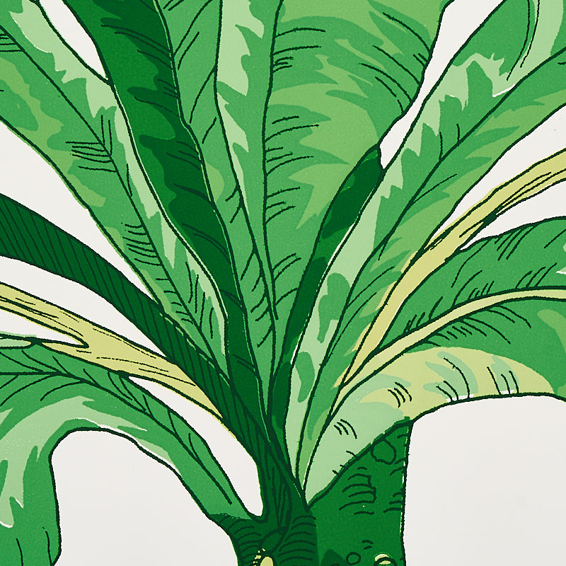 Blair House Palm Green by Schumacher Copacabana Collection Botanical Wallpaper – Schumacher 5004064