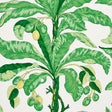 Blair House Palm wallpaper in green from Schumacher's Copacabana collection, featuring large tropical palm leaves and fruit in a bold botanical design.