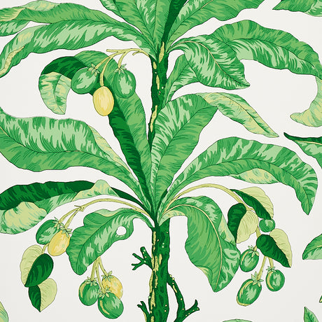 Blair House Palm wallpaper in green from Schumacher's Copacabana collection, featuring large tropical palm leaves and fruit in a bold botanical design.