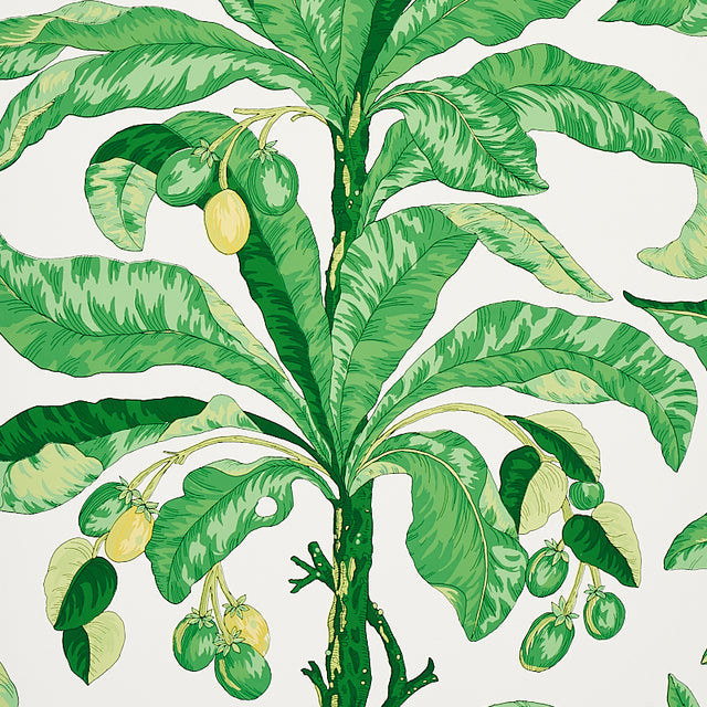 Blair House Palm wallpaper in green from Schumacher's Copacabana collection, featuring large tropical palm leaves and fruit in a bold botanical design.