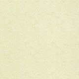 Willow Leaf wallpaper in sage green with intertwining botanical leaf pattern by Schumacher