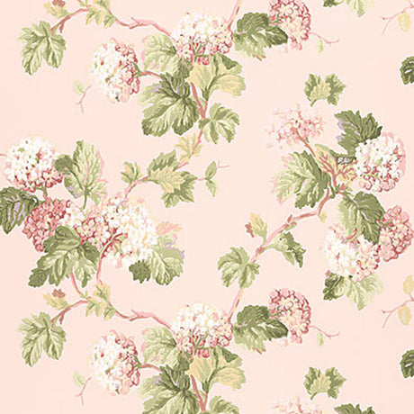 Viburnum Blush floral wallpaper with green and pink hydrangea flowers on a soft pink background by Schumacher