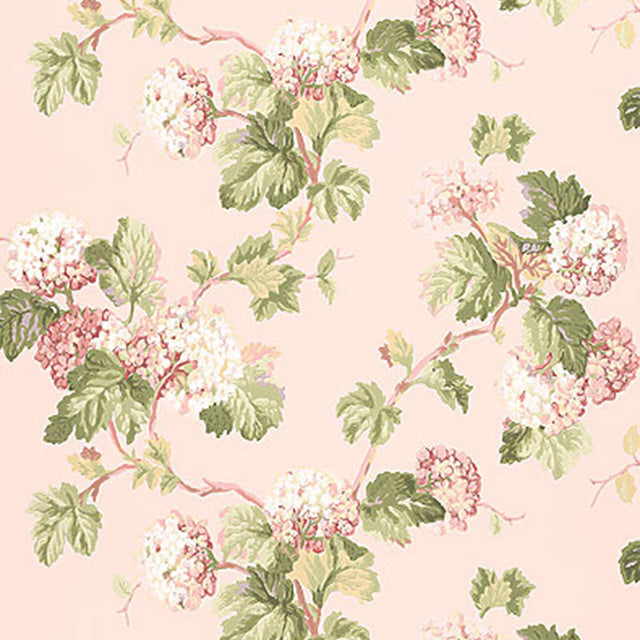 Viburnum Blush floral wallpaper with green and pink hydrangea flowers on a soft pink background by Schumacher