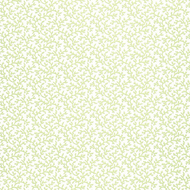 Coral Vine Aloe wallpaper with a delicate green vine pattern on a white background