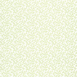 Coral Vine Aloe wallpaper with a delicate green vine pattern on a white background