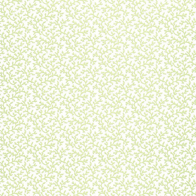 Coral Vine Aloe wallpaper with a delicate green vine pattern on a white background