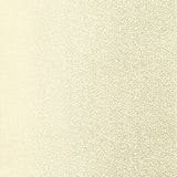 Celano Vine Mineral wallpaper with a delicate vine pattern in a soft neutral colorway by Schumacher.
