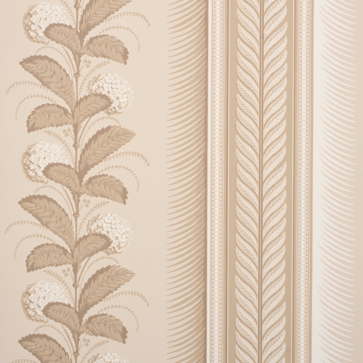 Hydrangea Drape wallpaper in fawn by Schumacher, featuring large-scale floral stripes and ornate border design.