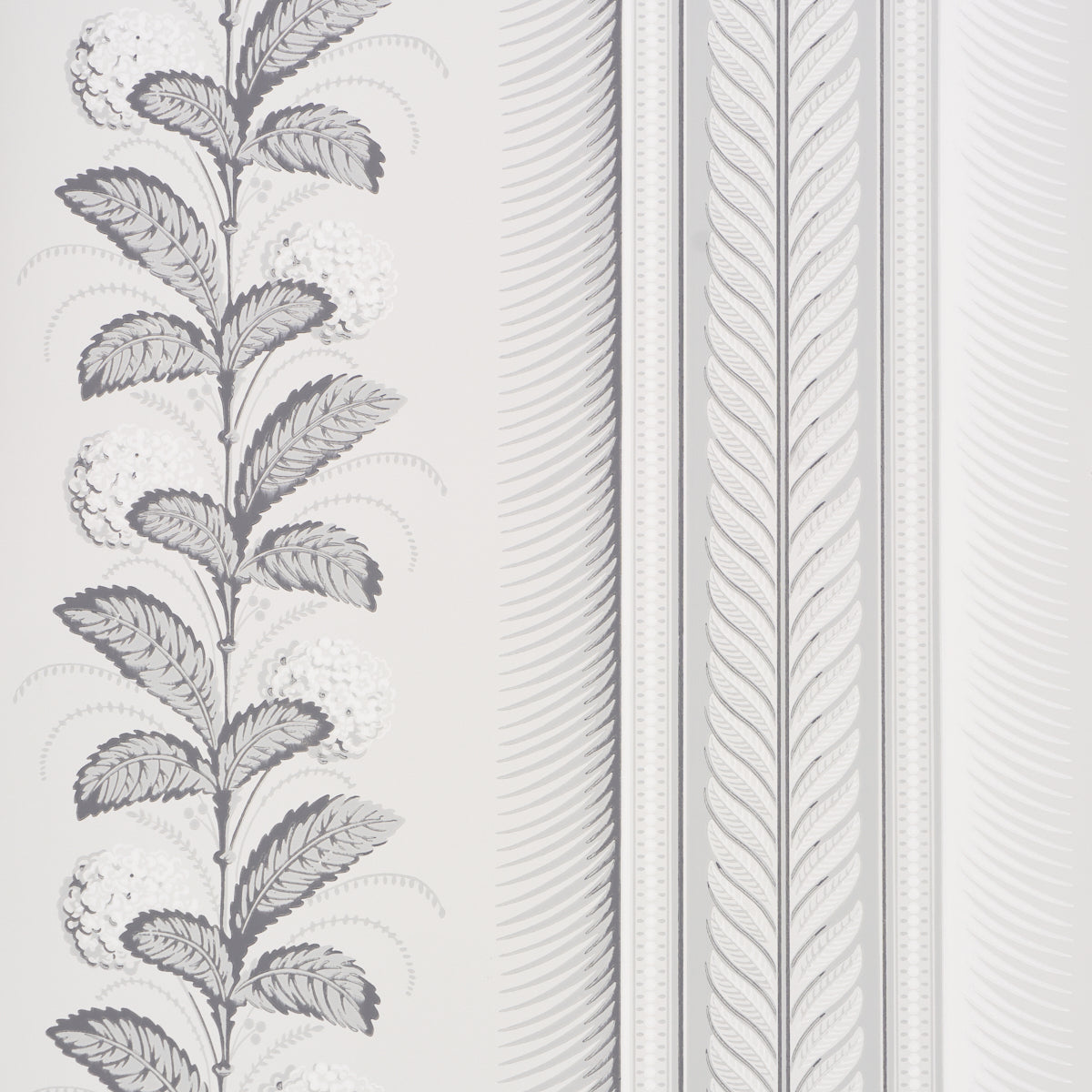 Hydrangea Drape wallpaper in Grisaille by Schumacher, featuring large-scale floral stripes and ornate border in a sophisticated grayscale palette.