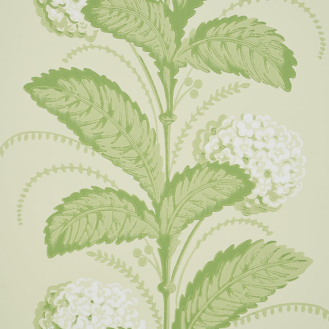 Hydrangea Drape Green by Schumacher Hobe Erwin Floral Stripe Wallpaper – Schumacher 5004456