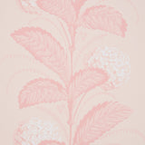 Hydrangea Drape Blush by Schumacher Large-Scale Floral Stripe Wallpaper – Hobe Erwin 5004458