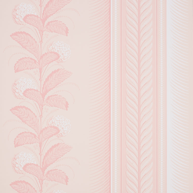 Hydrangea Drape wallpaper in blush by Schumacher, featuring large-scale floral stripes and ornate border, designed by Hobe Erwin.