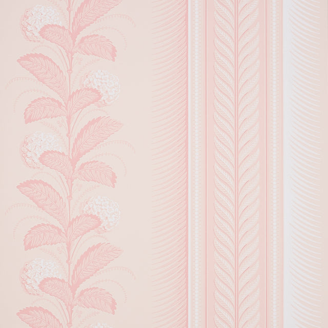 Hydrangea Drape wallpaper in blush by Schumacher, featuring large-scale floral stripes and ornate border, designed by Hobe Erwin.