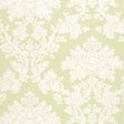 Tierni Damask wallpaper in celery green and white by Schumacher, featuring a classic damask pattern.