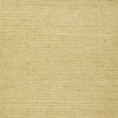 Haruki Sisal Celery textured wallcovering by Schumacher