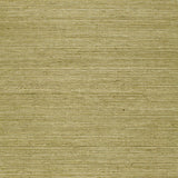 Olive green sisal textured wallpaper from Schumacher's Essential Collection, shown in close-up and styled in a modern interior.