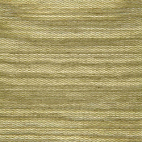 Olive green sisal textured wallpaper from Schumacher's Essential Collection, shown in close-up and styled in a modern interior.