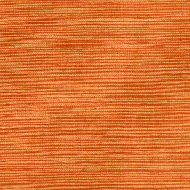HARUKI SISAL Mandarin orange textured sisal wallpaper by Schumacher