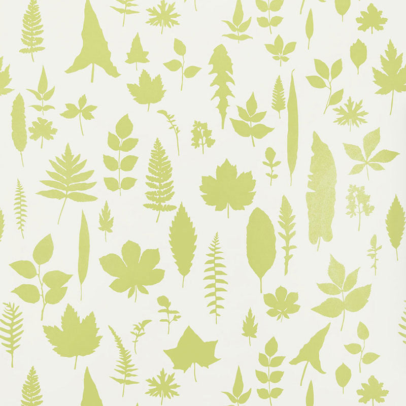 Chartreuse green leaf silhouettes on a white background, modern nature wallpaper by Schumacher