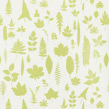 Chartreuse green leaf silhouettes on a white background, modern nature wallpaper by Schumacher