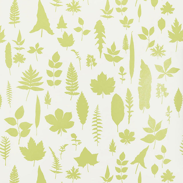 Chartreuse green leaf silhouettes on a white background, modern nature wallpaper by Schumacher
