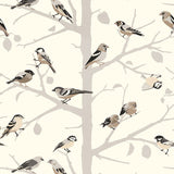 A-TWITTER Winter by Schumacher Whimsical Bird Wallpaper – Schumacher 5005030SAM