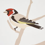 A-TWITTER Summer by Schumacher Colorful Songbird Scenic Wallpaper – Schumacher 5005031SAM
