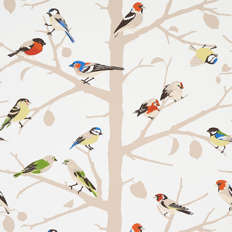 A-TWITTER Summer wallpaper by Schumacher featuring colorful songbirds perched on silhouetted tree branches.